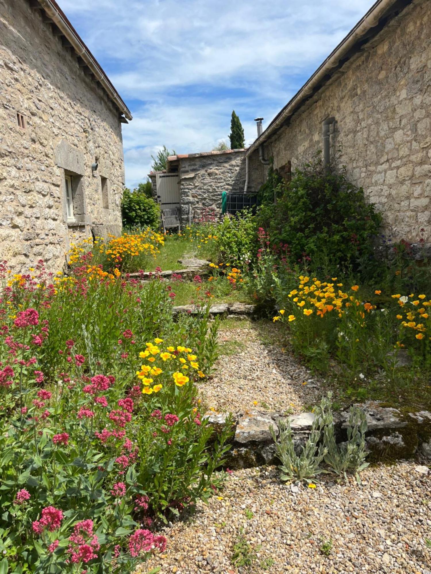 Les Gîtes Pérard Caylus Extérieur photo
