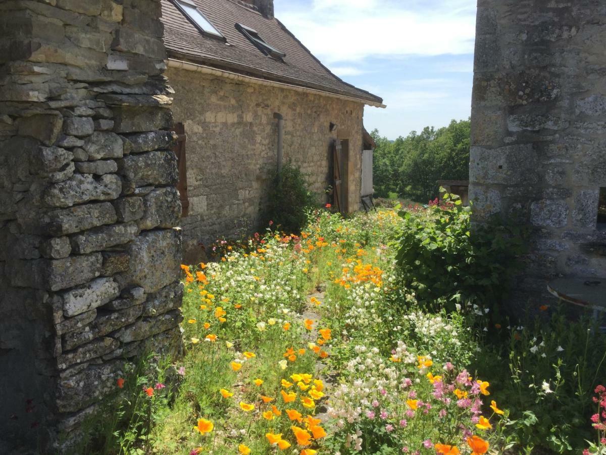 Les Gîtes Pérard Caylus Extérieur photo