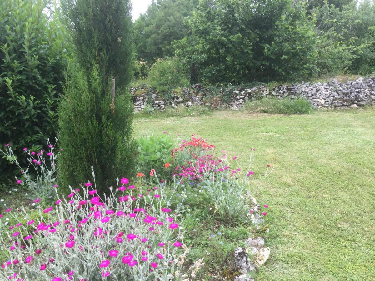 Les Gîtes Pérard Caylus Extérieur photo